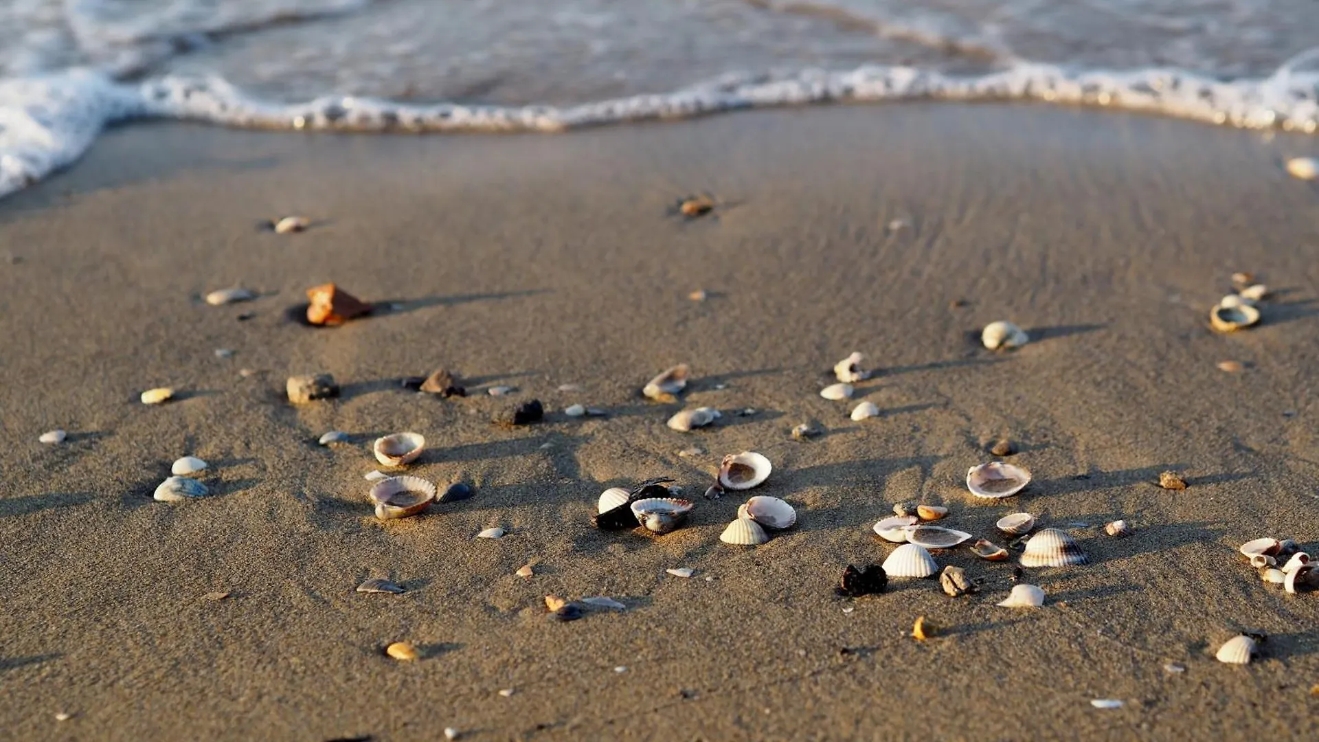 Relax In Our Serene Apartment - Beahost Rentals Bibione Italy